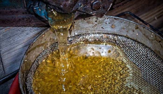 extract honey