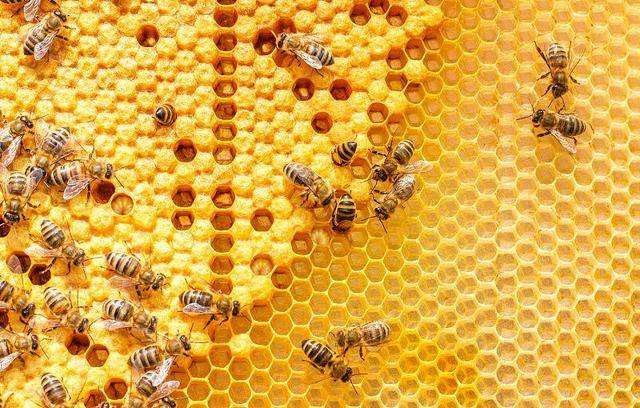 honey produced