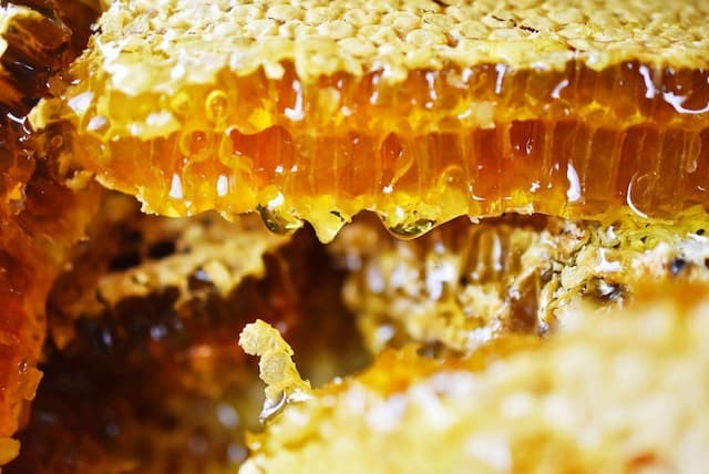 How Is Honey Produced - Honestbee