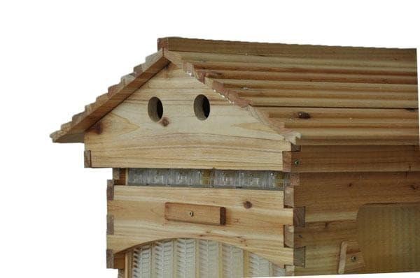 auto flow honey bee hive