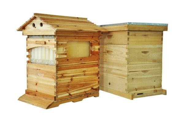 auto flow honey bee hive